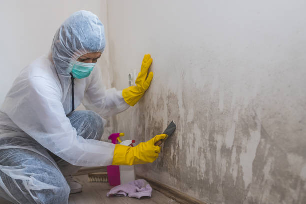 Best Air Quality Testing for Mold Spores  in Hilmar Irwin, CA