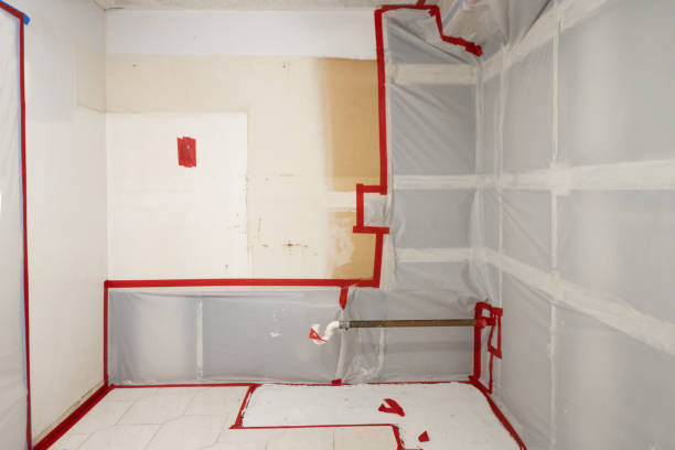 Best Mold-Related Health Consultation  in Hilmar Irwin, CA