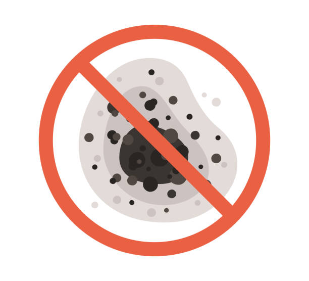 Professional Mold Removal in Hilmar Irwin, CA