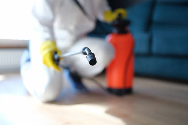 Best Asbestos and Lead Testing During Mold Inspection  in Hilmar Irwin, CA